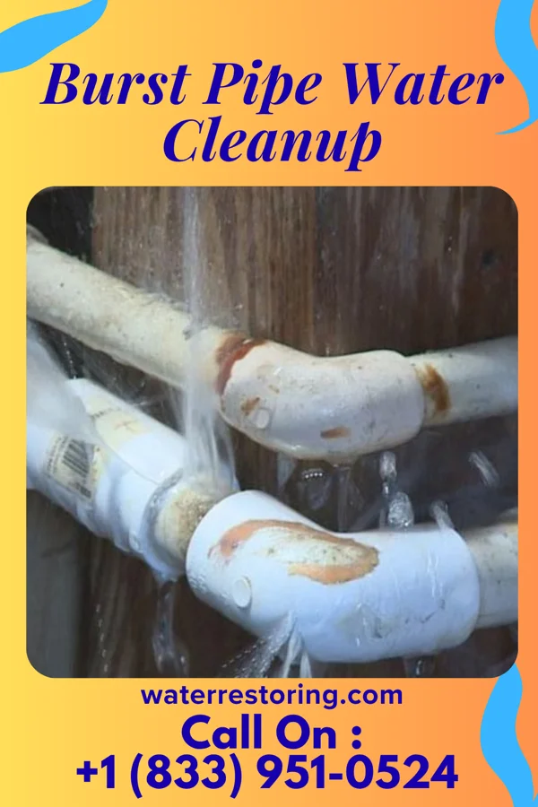 Burst Pipe Water Cleanup in Rutledge, GA