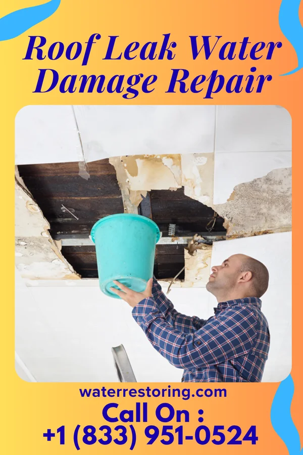 Roof Leak Water Damage Repair in Rutledge, GA