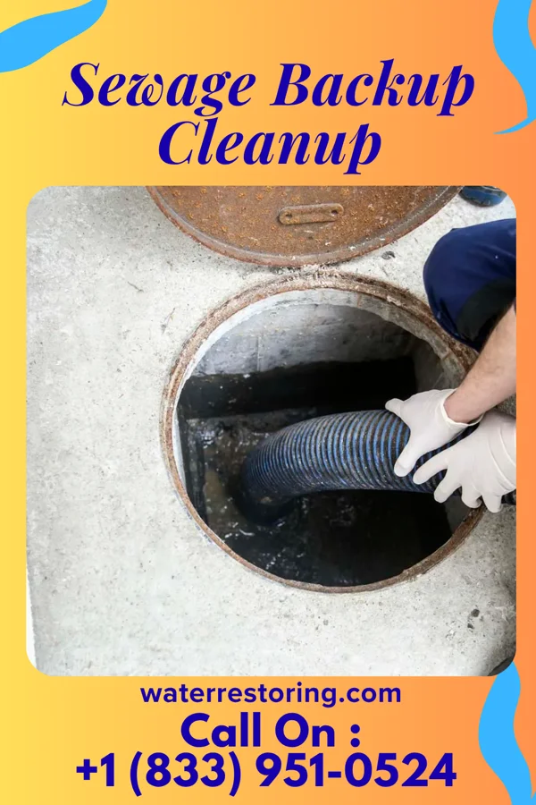 Sewage Backup Cleanup in Rutledge, GA